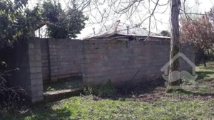 زمین در گیلان با درختان میوه