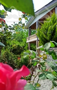 اجاره خانه ویلا