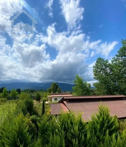 اجاره واحد شاه نشین