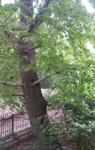 ویلا  لواسانات بزرگ