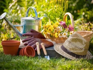 باغبانی سم پاشی سمپاشی هرسکارسراسروحومه بامهرضمانت