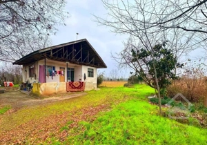 ۱۰ هزار متر خانه محوطه جنگلی رودخانه سند تک برگ