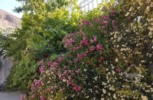خونه باغ 400متری ویلایی بیست دقیقه ای شیراز