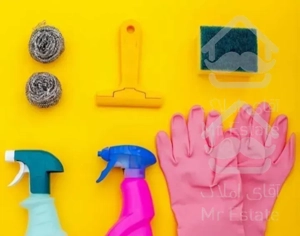 نظافت منزل ،ویلا ، حیاط و غیره