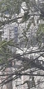 آپارتمان فروشی زرگنده