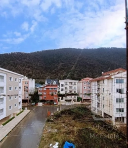 فروش آپارتمان محله ۵/ ویو ابدی جنگل