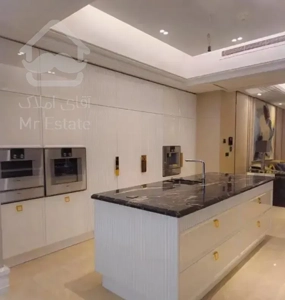 فرمانیه شرقی ۳۰۰ متر تکواحدی/ ۳ پارکینگ