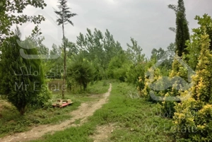 ویلا باغ.۱۲۰۰۰ متر.سقالکسار،گیلان