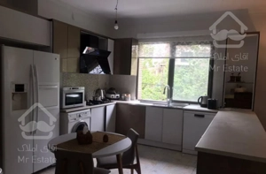 ۱۱۰متر فرمانیه