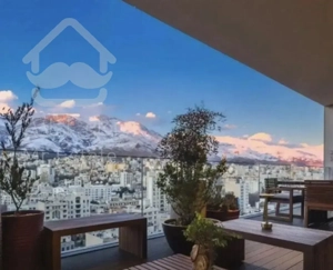 سنبل افر قیمتی / ۲۵۰ متر  تراس چیدمان  لابی من دار