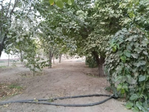 ویلا ۱۰۰۰متری