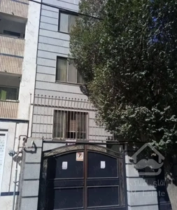 نقلی خوش نقشه