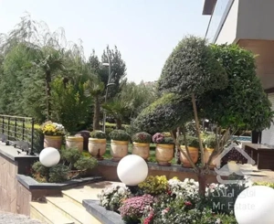 زمین چهار دیواری سند شخصی