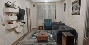 همخونه میشم اقا هستم