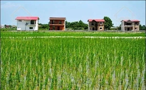 فروش زمین ۵۹۹۰ متری در نوشهر