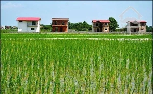 فروش زمین در نوشهر