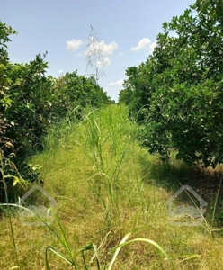 ویلا باغ ۴۰۰۰متر در اطراف بابل