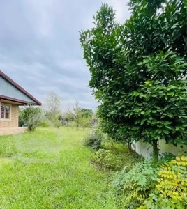 یک باغ ویلا هزار متر سند تک برگ زیر قیمت