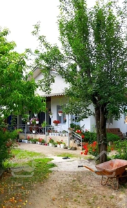 ویلا باغ 1200 متری