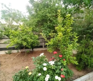 آپارتمان ۱۰۱ متری،تاپ لوکیشن