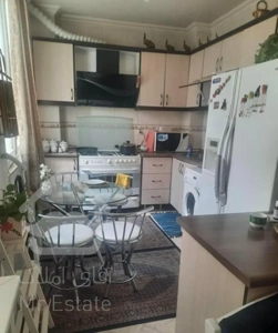 ۶۰مــتر/یـک خوابه/پــونک/سردار جنگل جنوبی