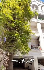 تاپ لوکیشن گلسار بلوار سمیه/۱۱۵ متر/۲ خواب