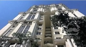 ۲۴۵متر یاسر فاخر برند خاص فول