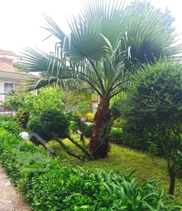 فروش ویلا باغ ۸۰۰متر بلوار کازینو چهارصد دستگاه