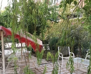 ۱۱۲متر / سنددار / کتویی شرقی / دونبش / آفتاب گیر