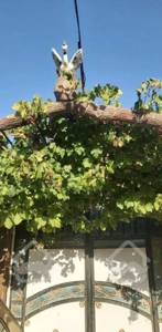 ویلا باغ در سانیج