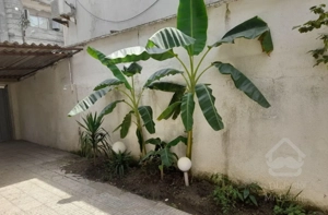 ویلا داخل شهری  ۱۲۰ متری