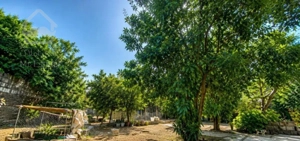 فروش ویلای ساحلی ۵۱۰ متری در قلب سرخرود سند ششدانگ