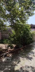 ویلایی روستای دنگلان