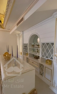 ۲۹۰ متر لوکس مبله کامل اکازیون