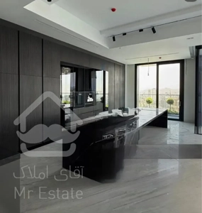 ۲۵۰مترمدرن/برج باغ/تراس قابل چیدمان