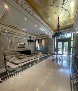 ۱۳۰ متر ولنجک/فرعی مرغوب ساسان/۳ پارکینگ