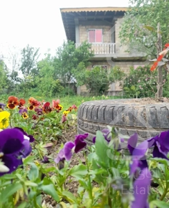 اجاره روزانه با امکانات