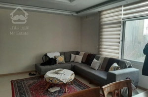 محمودیه ۶۳ متر نورگیر