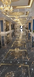 برج باغ سلطنتی رونیکا پالاس/سرمایه گذاری حرفه‌ای