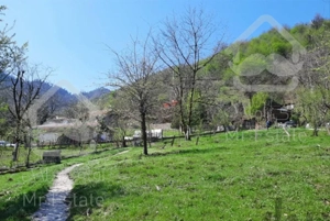 اجاره ویلا باغ