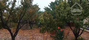 باغ ویلا فریمان