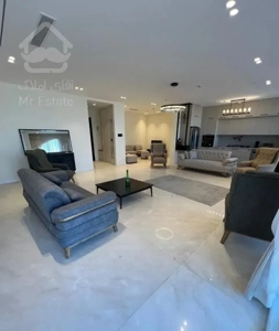 آپارتمان ۳۳۰متر/تکواحدی/دوکله/بهارستان