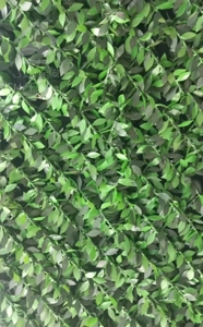 فاز۱ امیراباد واحد خوش نقشه