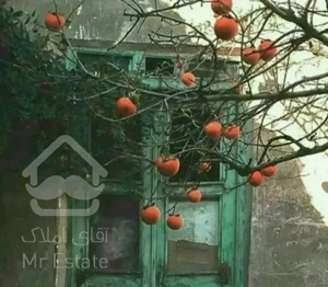 58 متری زنبق شرقی عظیمیه