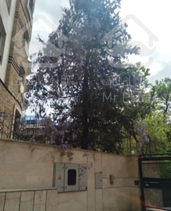 ۹۰ متر پارک قیطریه دنج