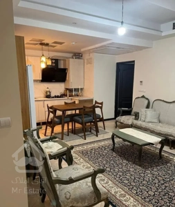 اسد آبادی ۵۳ متری خوش نقشه