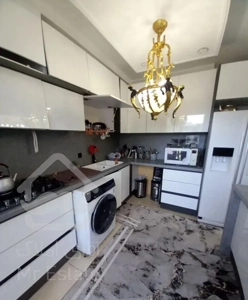 ۶۰ متر ۱ خواب / علامه جنوبی/ فول امکانات/ حتی مجرد