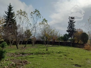 ۲۱۰ متر زمین و ۵۰ متر سوئیت