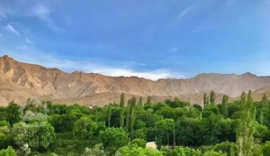 خاص ترین پیش فروشی شهمیرزاد