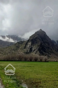 اجاره باغ ویلا